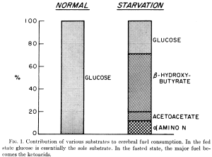 brain usage of glucose & ketones
